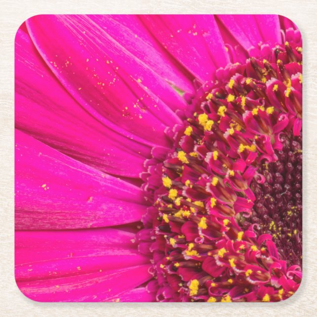 Posavasos Cuadrado De Papel Cierre de una margarita Gerber (Anverso)