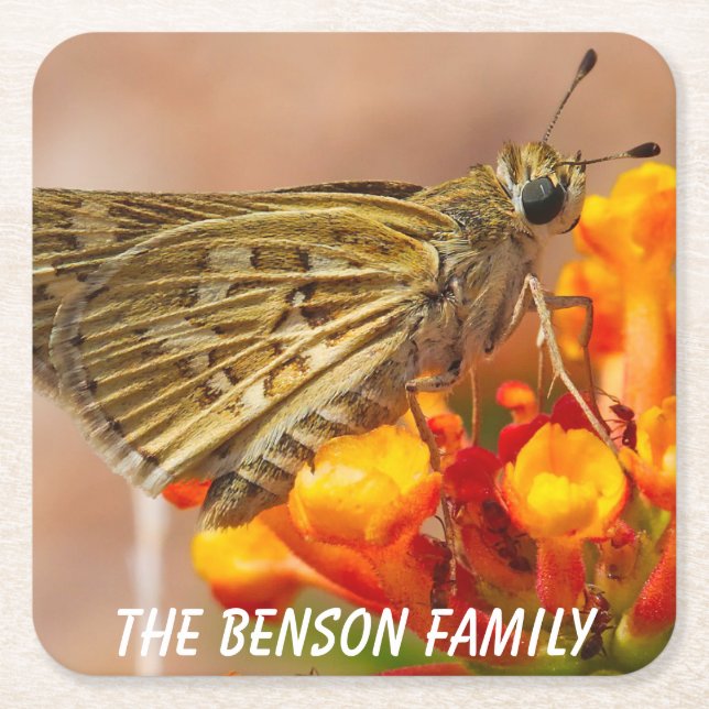 Posavasos Cuadrado De Papel Cierre de Wild Moth (Anverso)