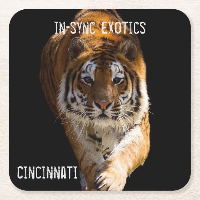 Posavasos Cuadrado De Papel Cincinnati Tiger - (Anverso)