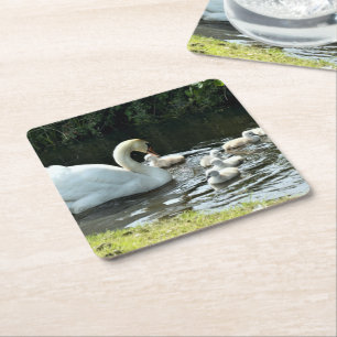 Posavasos Cuadrado De Papel Cisne blanco con garrapatas
