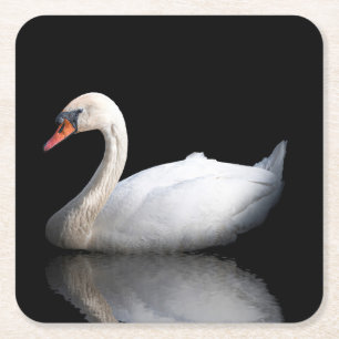 Posavasos Cuadrado De Papel cisne blanco sobre negro