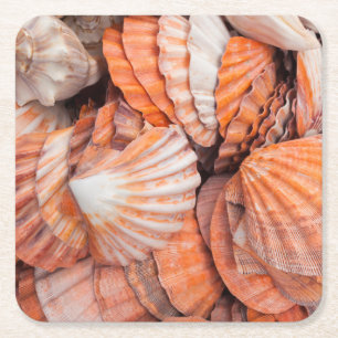 Posavasos Cuadrado De Papel Claves de Florida, Key West, conchas marinas