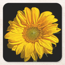 Coasterca de girasol