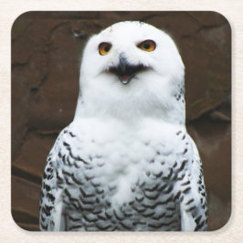 Posavasos Cuadrado De Papel Coasterca de lechuza