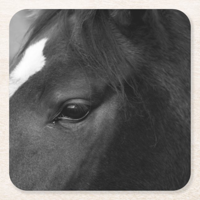 Posavasos Cuadrado De Papel Coasterca equina (Anverso)