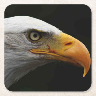 Posavasos Cuadrado De Papel Coastercn de Bald Eagle