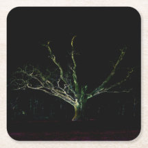 Coastercna del lado oscuro 1