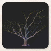 Coastercna del lado oscuro 2