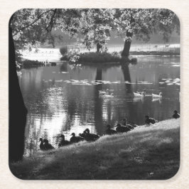 Posavasos Cuadrado De Papel Coastercnm de Park Life