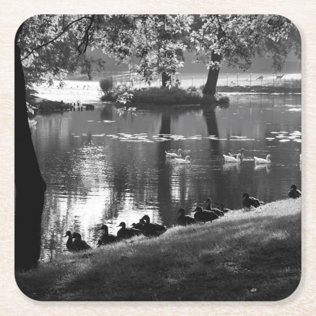 Posavasos Cuadrado De Papel Coastercnm de Park Life (Anverso)