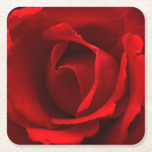 Posavasos Cuadrado De Papel Coasterisco de la rosa roja