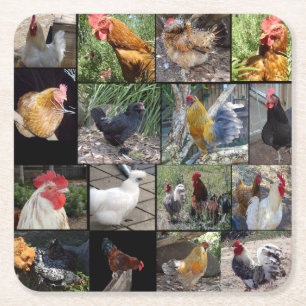 Posavasos Cuadrado De Papel Collage de fotos De Pollos Y Gallos,