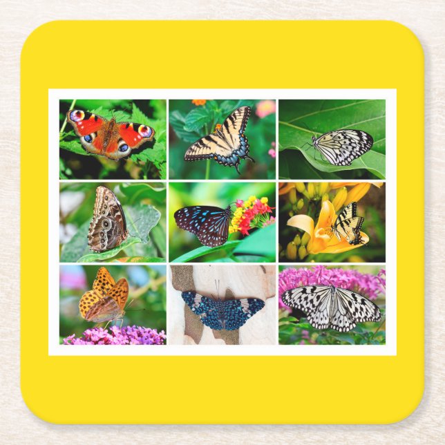 Posavasos Cuadrado De Papel Collage de mariposas espléndidas, 9 fotos (Anverso)