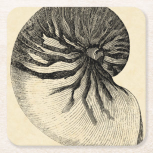 Posavasos Cuadrado De Papel Concha blanco y negro Shell del vintage