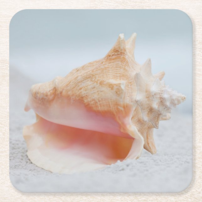Posavasos Cuadrado De Papel Concha Shell (Anverso)