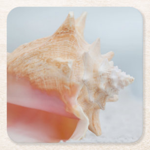 Posavasos Cuadrado De Papel Concha Shell el   la Florida