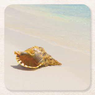Posavasos Cuadrado De Papel Concha Shell en la playa 3