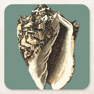 Posavasos Cuadrado De Papel Concha verde azulada Shell