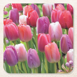 Posavasos Cuadrado De Papel Conjunto de aletas de tulipanes