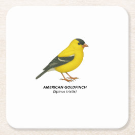 Posavasos Cuadrado De Papel Conjunto de escayas