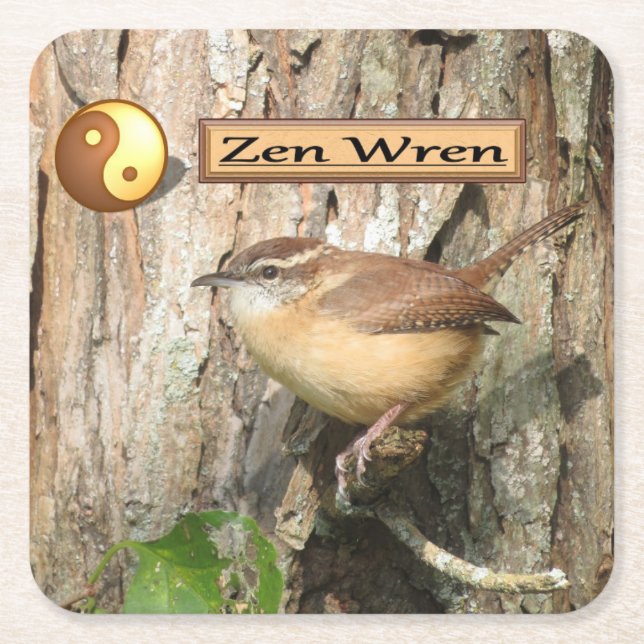 Posavasos Cuadrado De Papel Conjunto de estuches de Carolina Wren Zen (Anverso)