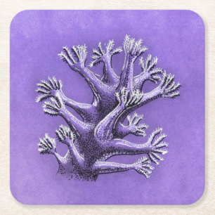 Posavasos Cuadrado De Papel Coral Reef Purple Marine Biology Art