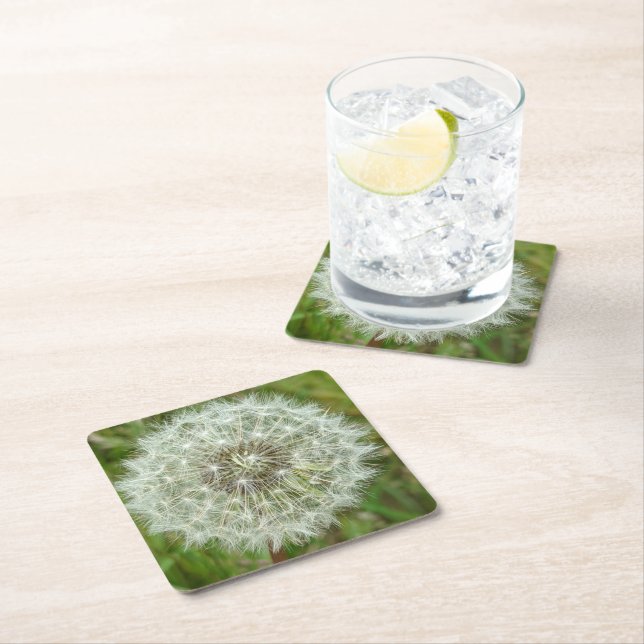 Posavasos Cuadrado De Papel Costeras naturales (In situ)