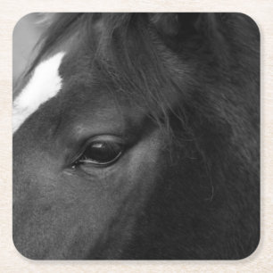 Posavasos Cuadrado De Papel Costerna de caballo