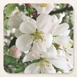 Posavasos Cuadrado De Papel Crabapple floreciente