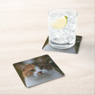 Posavasos Cuadrado De Papel Crea tu propia foto personalizada de tu gato como 