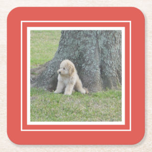 Posavasos Cuadrado De Papel Crea tu propia plantilla de fotos Coral y blanco