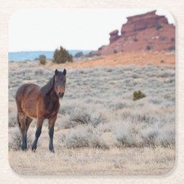 Posavasos Cuadrado De Papel Cría de Mustang Salvaje