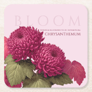 Posavasos Cuadrado De Papel Crisantemo Botánico Magenta Vintage