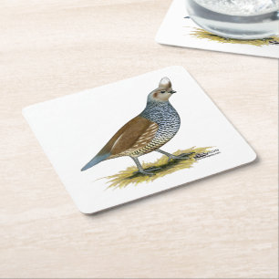 Posavasos Cuadrado De Papel Cual escalada