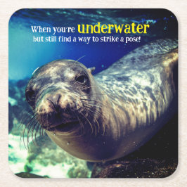 Posavasos Cuadrado De Papel Cuando eres un león marino