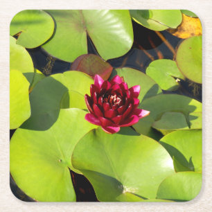 Posavasos Cuadrado De Papel Cubierta de papel de lirio de agua