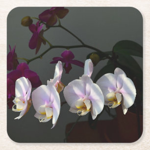 Posavasos Cuadrado De Papel Cubierta de papel orquídea