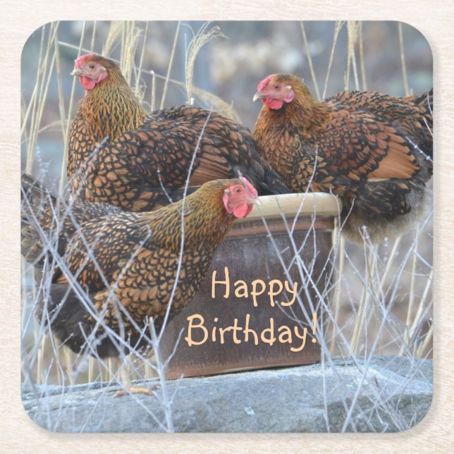 Posavasos Cuadrado De Papel Cumpleaños de gallinas tontas (Anverso)