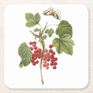 Posavasos Cuadrado De Papel Curva roja (Ribes rubrum) de Redouté