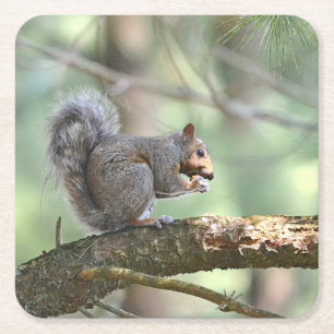 Posavasos Cuadrado De Papel Cute ardilla Comer Almuerzo Fiesta Pascua