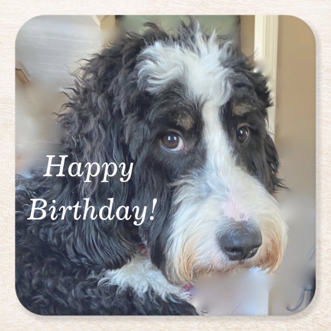 Posavasos Cuadrado De Papel Cute Bernedoodle (Anverso)
