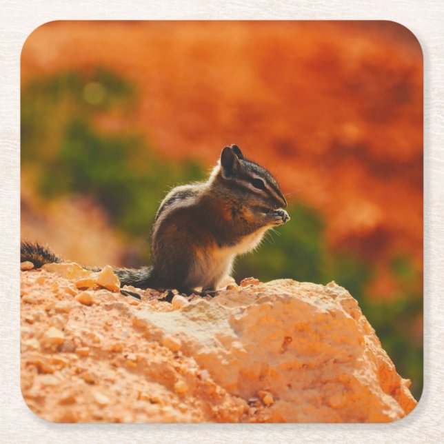 Posavasos Cuadrado De Papel Cute Chipmunk (Anverso)