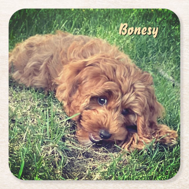 Posavasos Cuadrado De Papel Cute Golden Doodle (Anverso)