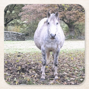 POSAVASOS CUADRADO DE PAPEL CUTE HORSE