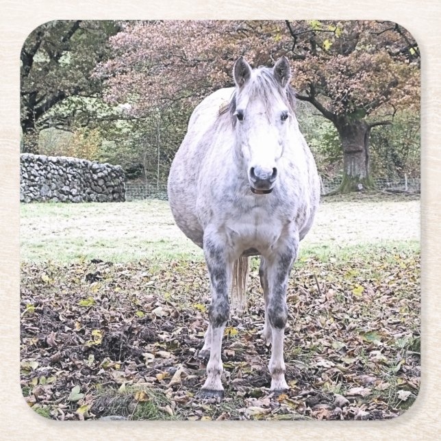 POSAVASOS CUADRADO DE PAPEL CUTE HORSE (Anverso)