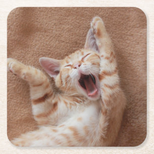 Posavasos Cuadrado De Papel Cutest Baby Animals Ginger Kitten Yawning