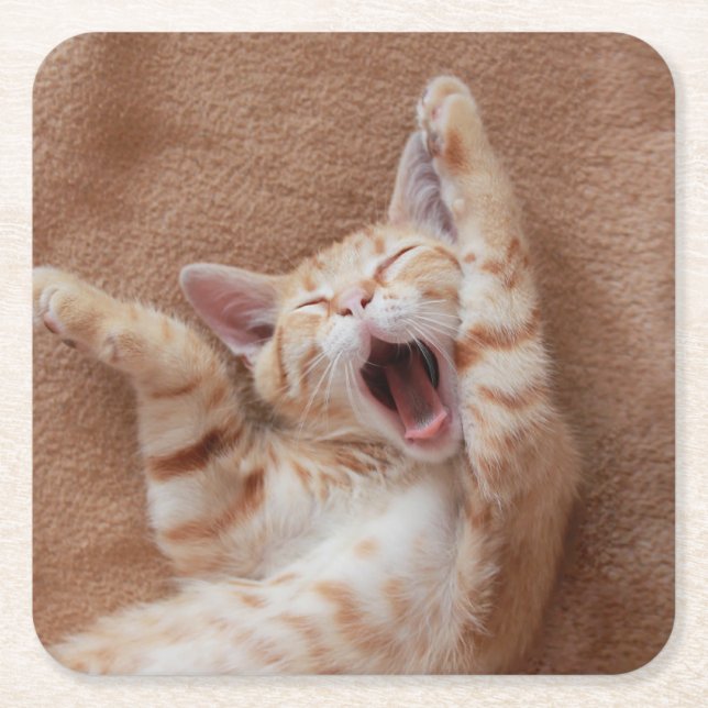 Posavasos Cuadrado De Papel Cutest Baby Animals | Ginger Kitten Yawning (Anverso)