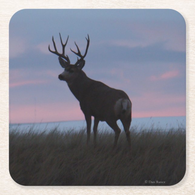 Posavasos Cuadrado De Papel D3 Mule Deer Buck Sunrise Buck (Anverso)