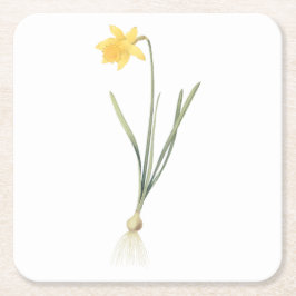 Posavasos Cuadrado De Papel daffodil(Narcissus pseudo-narciso) de Redouté