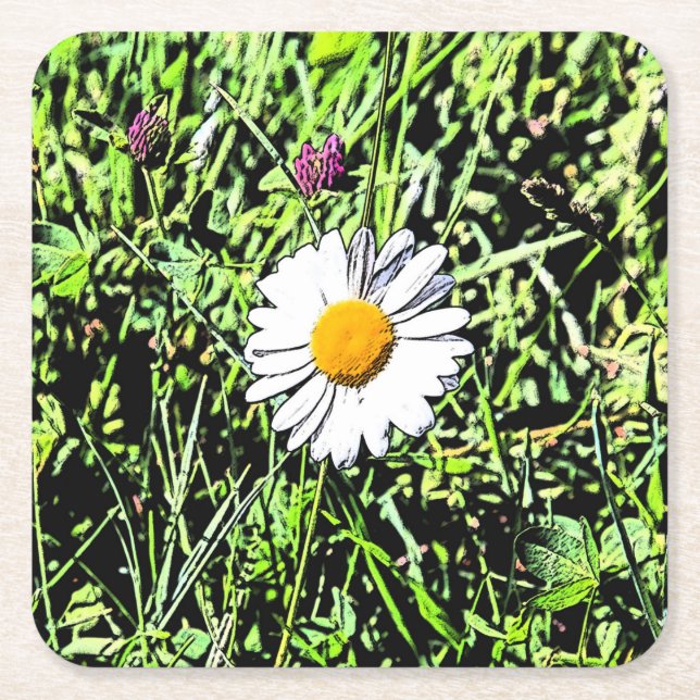 Posavasos Cuadrado De Papel Daisy (Anverso)